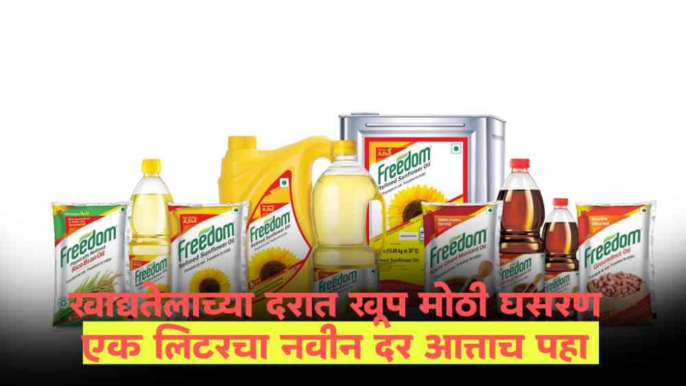edible oil price today