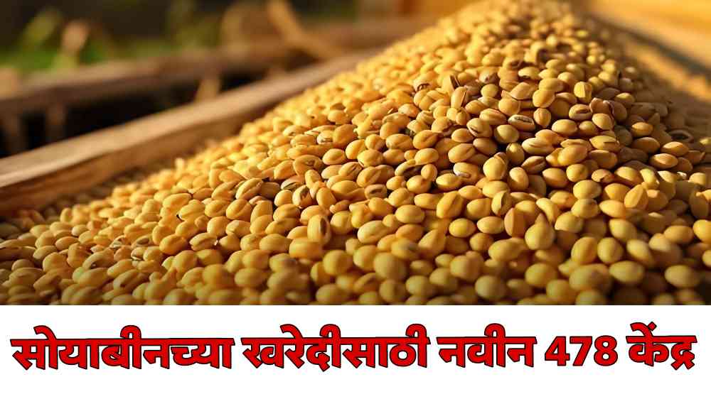 soyabin today rate